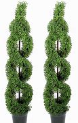 Image result for Artificial Topiary Trees