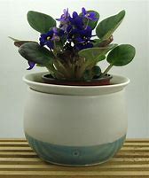 Image result for Self Watering Violet Planters
