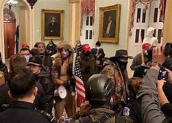 Image result for Capitol Riot Shaman