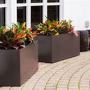 Image result for Tall Planters for Privacy