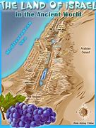 Image result for Ancient Israel Map