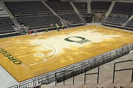 Image result for Basketball Court Arena