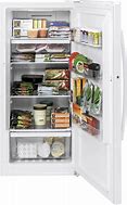 Image result for Small Stand Up Deep Freezer