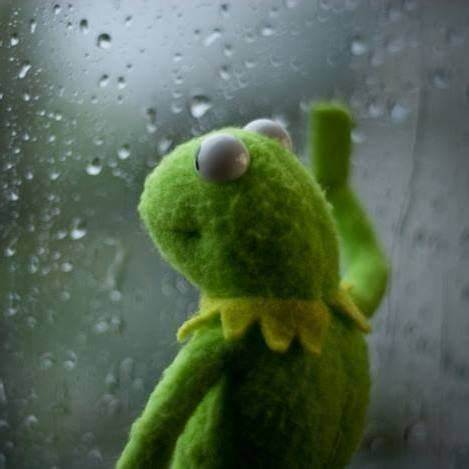 Sad Kermit Window Rain | Meme Generator