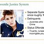 Image result for Parts of the Criminal Justice System