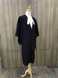 Image result for Lawyer Costume Female