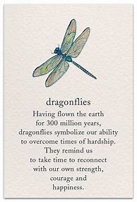 Image result for Dragonfly Sayings