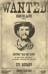 Image result for Wanted Outlaw Poster