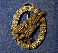 Image result for Jmme Fallschirmjager Badge