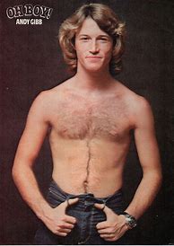 Image result for Andy Gibb 80s