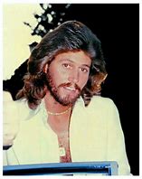 Image result for Bee Gees Hair