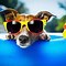 Image result for Awesome Dog Backgrounds