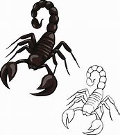 Image result for Scorpion Clip Art Stock Illustrations