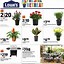Image result for Lowe's Weekly Ad 74401