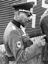 Image result for WW2 German Volunteers