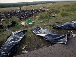 Image result for Ukraine Plabe Crash Bodies