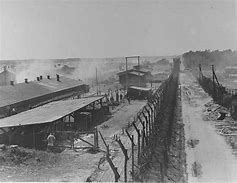 Image result for Bergen-Belsen Camp