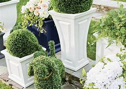Image result for Lawn Decorations for Occasions