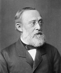 Image result for Rudolf Virchow
