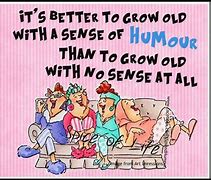 Image result for Funny Senior Moments Book