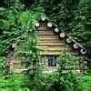 Image result for Small Cabin Designs