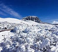 Image result for Jeju Island in Winter