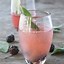 Image result for Fun Cocktails