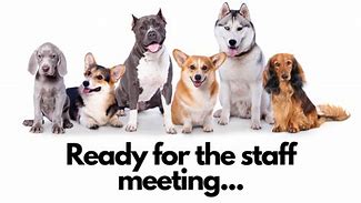 Image result for Staff Meeting Funny Dog