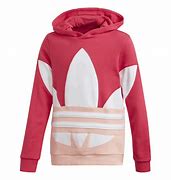 Image result for Pink Adidas Hoodie Men's