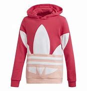 Image result for Women's Grey Adidas Hoodie