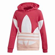 Image result for Puma Urban Sports Cropped Hoodie