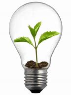 Image result for Sustainable Light