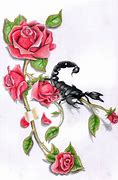 Image result for Scorpion with Rose Drawing