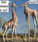 Image result for Giraffe Jokes