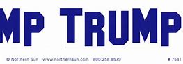 Image result for Dump Trump Toilet Stickers