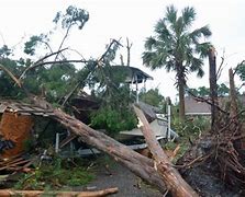 Image result for Palm City Tornado 2020