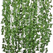 Image result for Hanging Plants