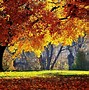 Image result for Autumn Desktop Background