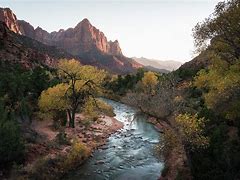 Image result for Zion National Park Fall