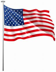 Image result for USA Flag Design