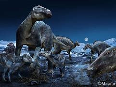 Image result for Arctic Dinosaurs