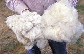 Image result for Wool Hoodie Men