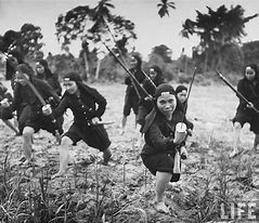 Image result for French War Crimes Vietnam