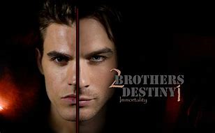 Image result for Salvatore Brothers Vampire Diaries