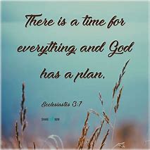 Image result for Bible Verse for Every Day