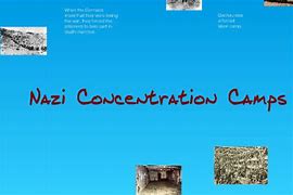 Image result for Nazi Concentration Camp Symbols