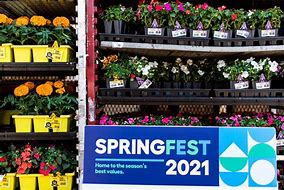 Image result for Lowe's Garden Plants