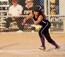 Image result for Exeter PA Softball