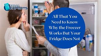 Image result for Refrigerator Works but Not Freezer