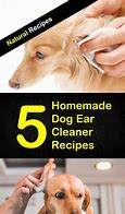 Image result for Dog Ear Cleaning Solution